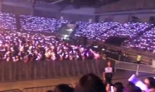 张艺兴泰国演唱会多少人 张艺兴曼谷演唱会